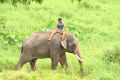 Vikram Prabhu drive a Elephant Kumki Tamil Movie