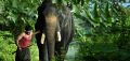 Vikram Prabhu in Kumki New Stills