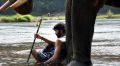 Tamil Movie Kumki New Stills