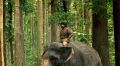 Vikram Prabhu in Kumki New Stills