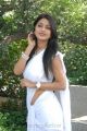 Telugu Actress Kumkum Hot in Saree Stills