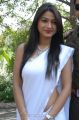Telugu Actress Kumkum Saree Hot Stills