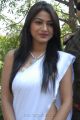 Telugu Heroine Kumkum in White Saree Hot Stills