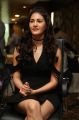 Actress Amyra Dastur @ Kung Fu Yoga Press Meet Hyderabad Stills