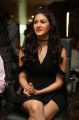 Actress Amyra Dastur @ Kung Fu Yoga Press Meet Hyderabad Stills