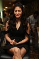 Actress Amyra Dastur @ Kung Fu Yoga Press Meet Hyderabad Stills