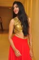 Model Kushboo Hot Photos @ D'sire Exhibition Launch