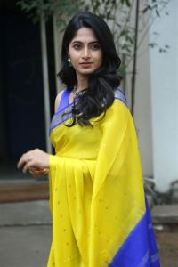 Actress Kushee Ravi Saree Images @ Pindam Pre Release