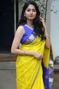Actress Kushee Ravi Saree Images @ Pindam Press Meet