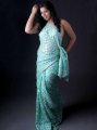 Tamil Actress Kushi in Transparent Saree Spicy Photo shoot Stills