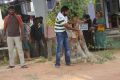 Kutti Puli Movie On Location Photos