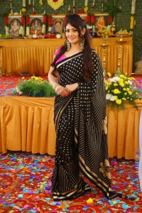 Ajagartha Movie Actress Kutty Radhika Saree Photos