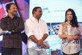 Ladies and Gentleman Movie Audio Release Stills