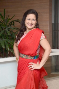 Sardar Movie Actress Laila Red Saree Photos