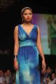 Lakmé Fashion Week Winter/Festive 2013 Day 5 Stills