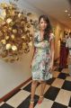 Actress Lakshmi Manchu Latest Hot Pics in Sleeveless Gown