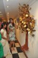 Actress Lakshmi Manchu Latest Hot Pics at Muse Art Gallery