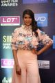 Actress Lakshmi Manchu Pics @ SIIMA Short Film Awards 2017
