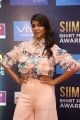 Actress Manchu Lakshmi Pics @ SIIMA Short Film Awards 2017