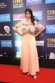 Actress Lakshmi Manchu Prasanna Pics @ SIIMA Short Film Awards 2017