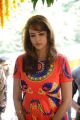 Actress Lakshmi Manchu Photos @ Pilavani Perantam Movie Opening