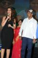 Actress Ileana @ Lakshmi Raave Maa Intiki Audio Launch Stills