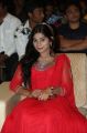 Mithuna Waliya @ Lakshmi Raave Maa Intiki Audio Launch Stills