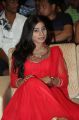 Mithuna Waliya @ Lakshmi Raave Maa Intiki Audio Launch Stills