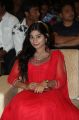 Mithuna Waliya @ Lakshmi Raave Maa Intiki Audio Launch Stills