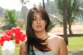 Lakshmi Rai Cute Photos