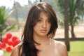 Lakshmi Rai Cute Photos