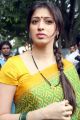 Actress Lakshmi Rai Cute Saree Stills