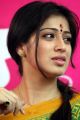 Actress Lakshmi Rai Cute Saree Stills