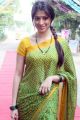 Actress Lakshmi Rai in Saree Latest Photos