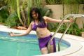 Lakshmi Rai Hot Bikini Images in Adhinayakudu