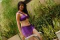 Adhinayakudu Lakshmi Rai Bikini Hot Pics