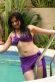 Adhinayakudu Lakshmi Rai Hot in Bikini Photos