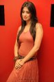 Lakshmi Rai Hot Photo Shoot Pics