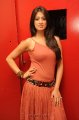 Lakshmi Rai Hot Photo Shoot Pics