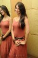 Lakshmi Rai Hot Photo Shoot Pics