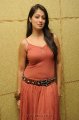 Lakshmi Rai Hot Photo Shoot Pics