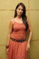 Lakshmi Rai Hot Photo Shoot Pics