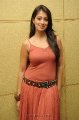 Lakshmi Rai Hot Photo Shoot Pics