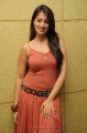 Lakshmi Rai Hot Photo Shoot Pics