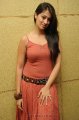 Lakshmi Rai Hot Photo Shoot Pics