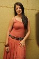 Lakshmi Rai Hot Photo Shoot Pics