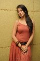 Lakshmi Rai Hot Photo Shoot Pics