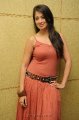 Lakshmi Rai Hot Photo Shoot Pics