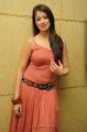 Lakshmi Rai Hot Photo Shoot Pics