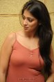 Lakshmi Rai Hot Photo Shoot Pics